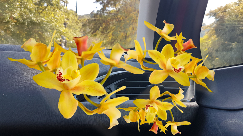 klimaanlegg i bilen med animerte gule blomster som kommer ut av det